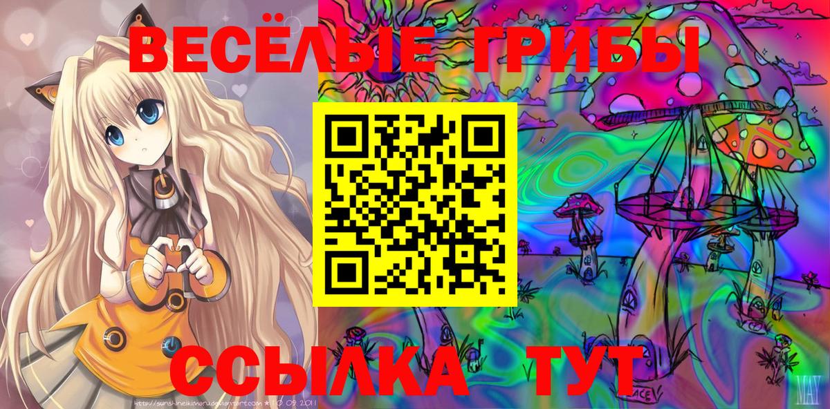 Галлюциногенные грибы мухоморы Славгород